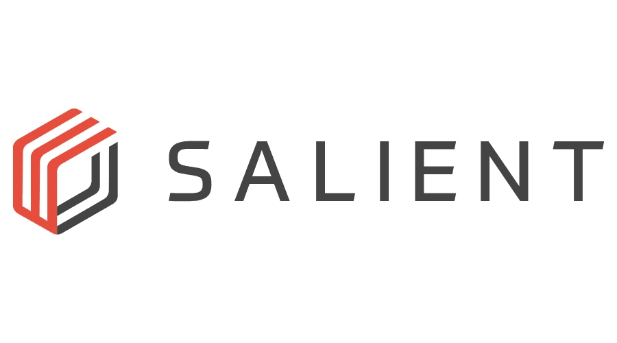 Salient Systems logo